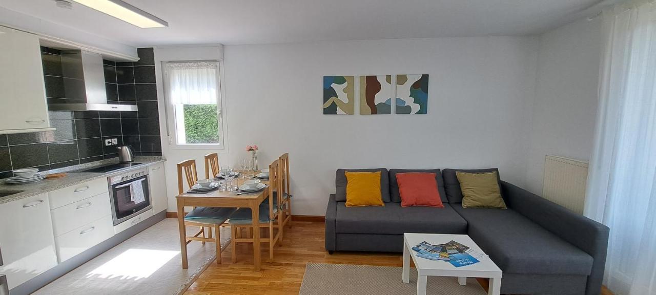 Appartement Lumineux T3 Avec Jardin Privatif A Hendaye - Parking Et Wif Gratuit Exteriör bild